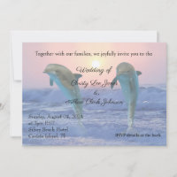Mariage de dauphins à Sunrise Beach