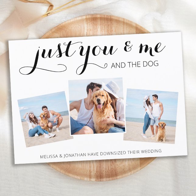 Faire-part Mariage Micro Dog Mariage (Créateur téléchargé)
