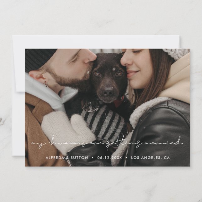 Faire-part Mes humains se marient Photo pour animaux de compa (Devant)