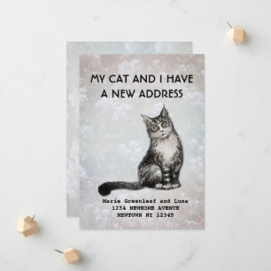 Faire-part Moi et mon chat avons fait une annonce