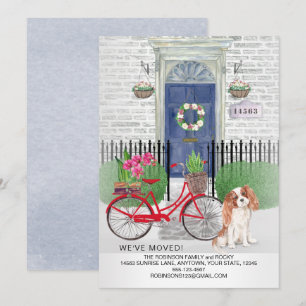 Faire-part Moving Cavalier King Charles Bicycle Nouvelle mais