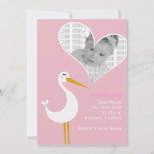 Faire-part Naissance de cigogne