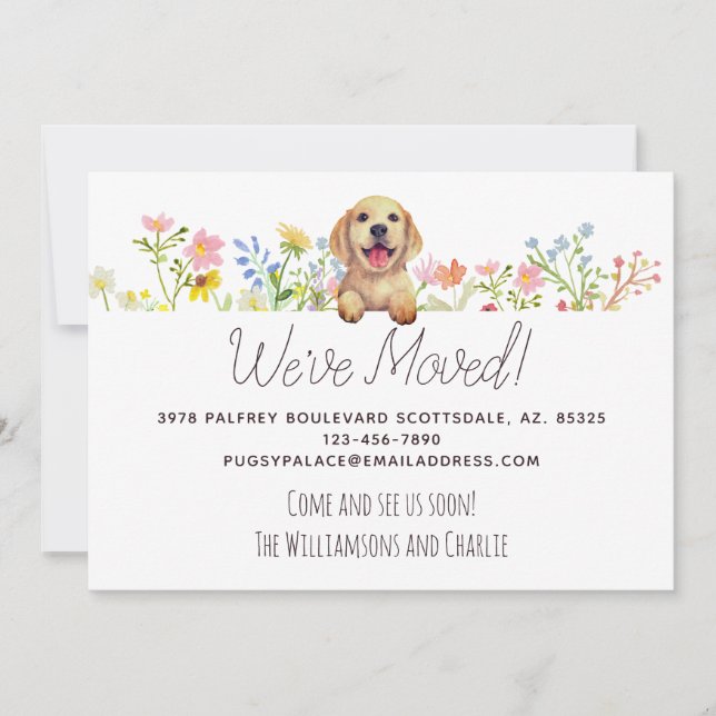 Faire-part Nous avons bougé ! Labrador Puppy Floral Moving (Devant)