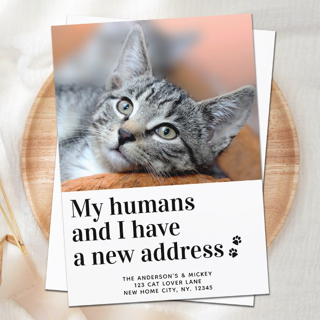 Faire-part Nous Avons Déménagé Nouvelle Adresse Animaux De Co (Créateur téléchargé)