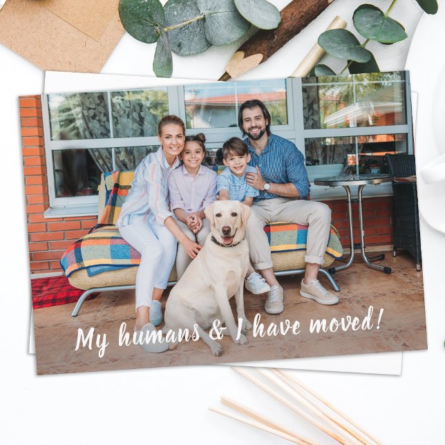Faire-part Nous Avons Déménagé Personnalisé Photo Animaux De  (Créateur téléchargé)