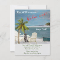 Nous avons déplacé Chien Ocean Beach Budget Bouger