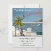 Nous avons déplacé Chien Ocean Beach Budget Bouger