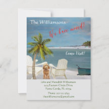 Nous avons déplacé Chien Ocean Beach Budget Bouger