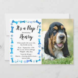 Faire-part Nouveau Chiot - Nouveau Animal - Chien bleu Annive