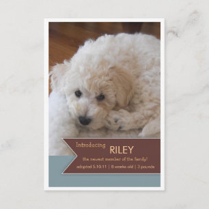 Faire-part Nouveau Pet 2 Photo Bannière Brown Photo Faire-par