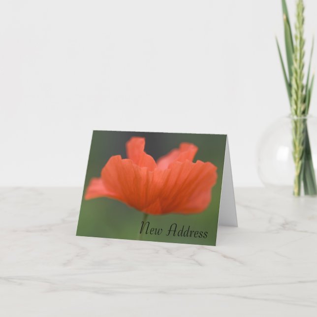 Faire-part Orange Poppy Changement d'adresse (Devant)