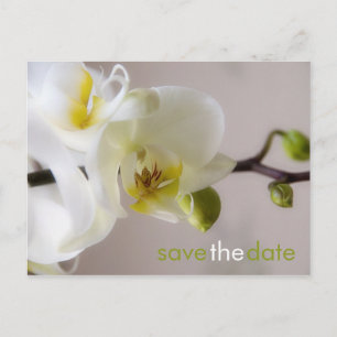 Faire-part Orchidée blanche ・ Enregistrer la carte postale Da