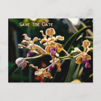 Faire-part Orchidée sauvage Enregistrer la carte postale Date