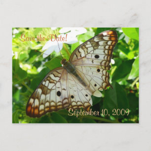 Faire-part Papillon Enregistrer la Date sur Carte Postale de