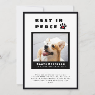 Faire-part Pawprint Coeur Repos En Paix Pet Perte Photo