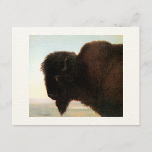 Faire-part Peinture principale de bison d'Albert Bierstadt