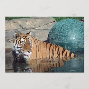 Faire-part personnalisable de tigre de Bengale