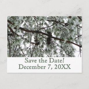 Faire-part Pin d'hiver Enregistrer la date Carte postale