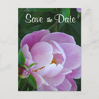 Faire-part Pink Peony Enregistrer la carte postale Date