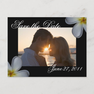 Faire-part Plumeria Enregistrer la date Carte postale