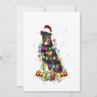 Faire-part rottweiler père Noël lumières d'arbre Noël cadeaux
