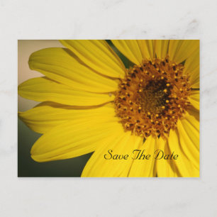 Faire-part Sunflower Enregistrer la date Carte postale