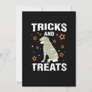 Faire-part Traitements _ Tricks Rottweiler Halloween Costume