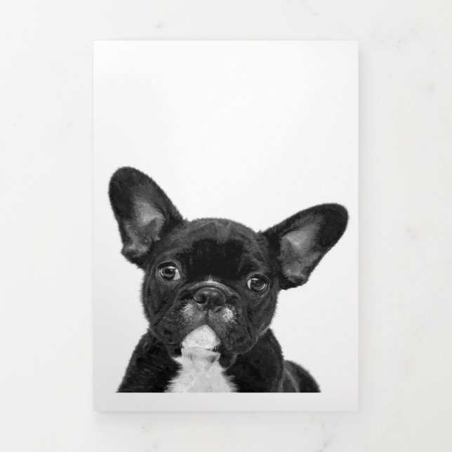 Faire-part Trois Volets Chien adorable | Black French Bulldog Face (Page de couverture)
