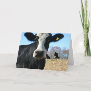 Faire-part Vache Sacrée Nous Avons Déménagé