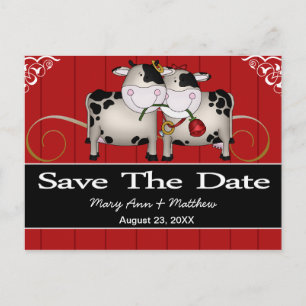 Faire-part Vaches mariage Enregistrer la carte postale Date