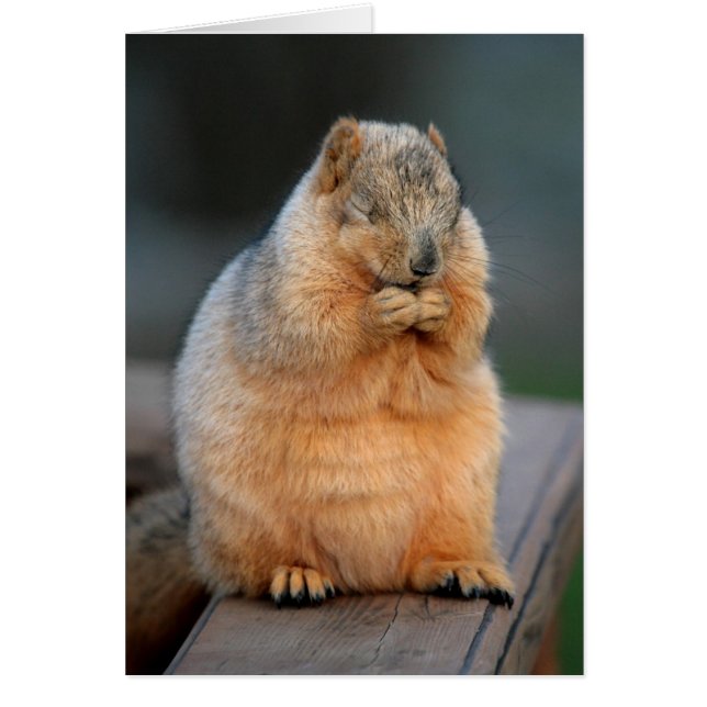 Faire un voeu (Devant)