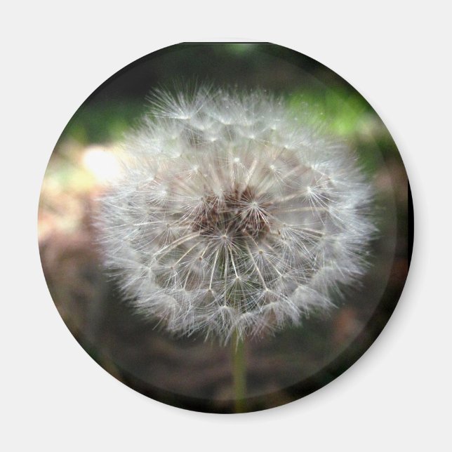 Faire un voeu - Magnet (Devant)