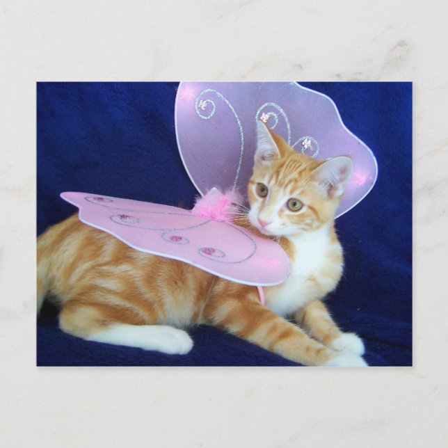 Fairies fly postcard (Front)