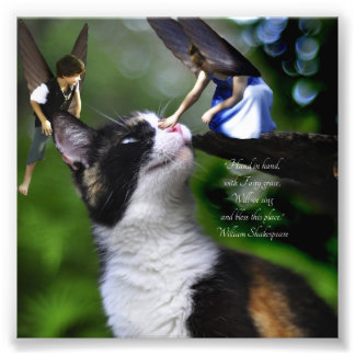 Fairies with Cat William Shakespeare Quote Print
