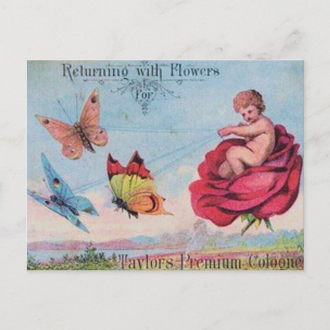 Fairy and Butterflies Cologne Ad Postcard (Front)