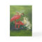 "Fairy and Frog" greeting card