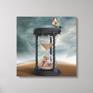 Fairy Canvas Print