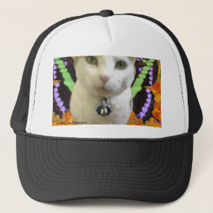 Fairy Cat Hat