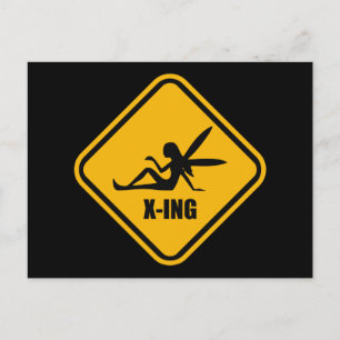 Fairy Crossing Street Sign Postcard