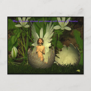 Fairy Dreams Postcard