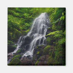 Fairy Falls   Colombia River Gorge Oregon. Magnet