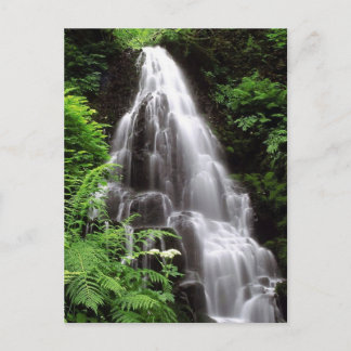 Fairy Falls Postcard