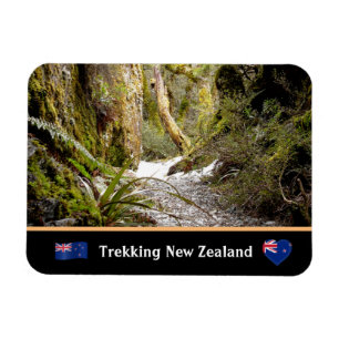 Fairy Jungle, Kiwi trekking /New Zealand Magnet