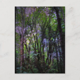 Fairy Lights Surreal Forest Postcard