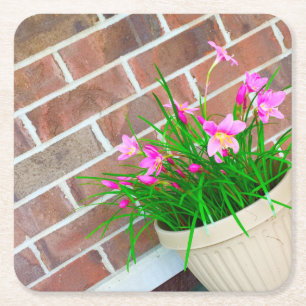 Fairy Lily Coasters