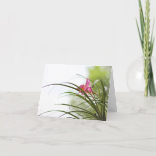 Fairy Lily Magic Note Cards