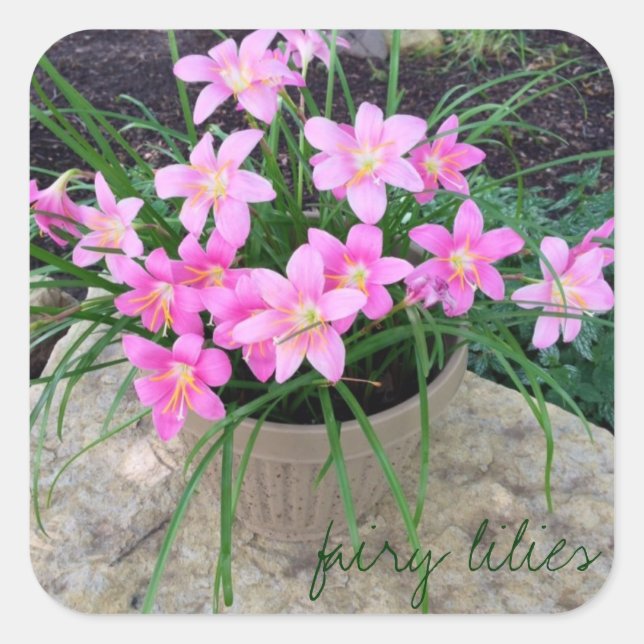 Fairy Lily Stickers (Front)