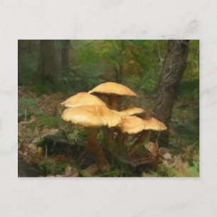 Fairy Mushroom Ring Postcard