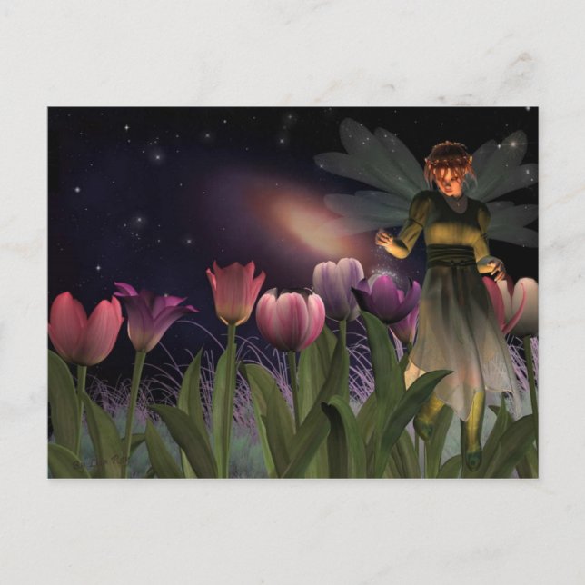 Fairy night Postcard (Front)