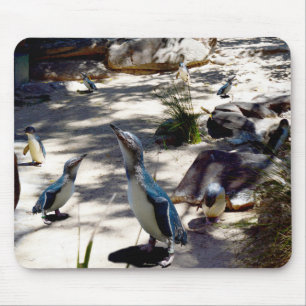 Fairy Penguin Paradise, Mouse Pad